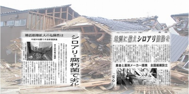 サンプル画像