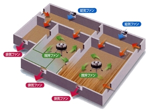 サンプル画像